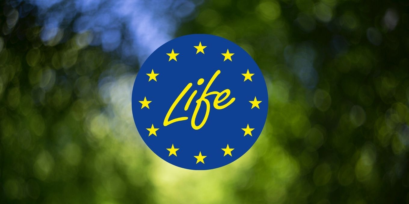 Budget européen : entreprises, organisations professionnelles, collectivités et associations appellent à la sauvegarde du programme LIFE